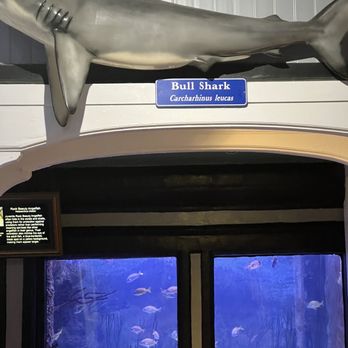 Key West Aquarium - Aquariums Near Me - Key West, Florida