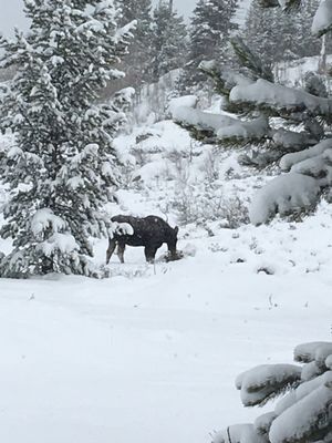 The Hole Hiking Experience by null