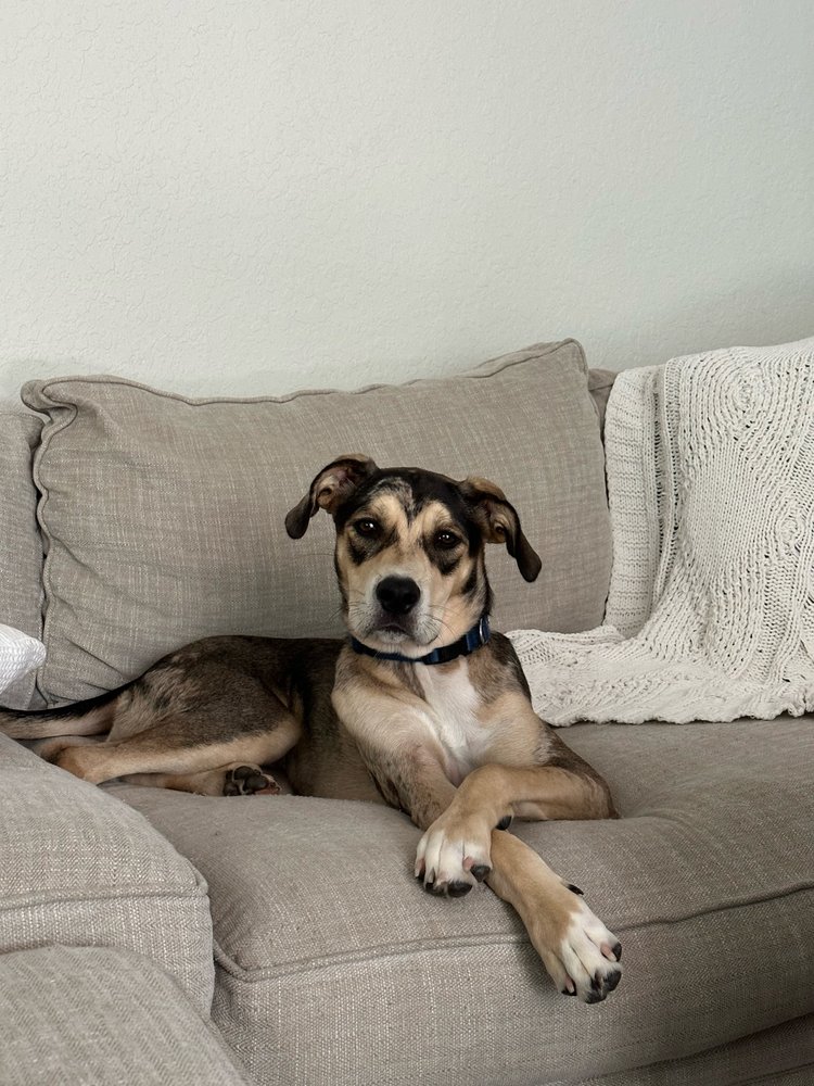 o Jupiter Florida Real Estate For Sale