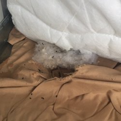Blanding Hardware & Bldg Supls - Rat infestation, which damaged my property.