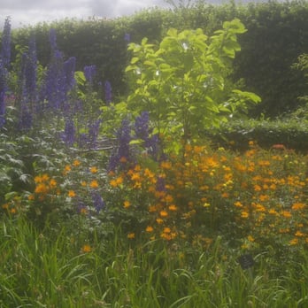 Royal Botanic Garden Edinburgh - Botanical Gardens Near Me - Edinburgh, EDH