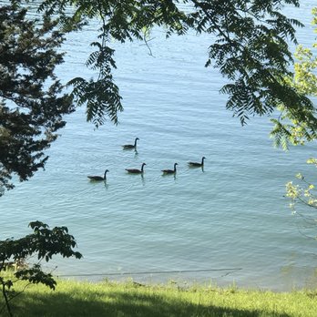 Lake Shore Cabins - very loud Canadian geese - Hotels Near Me - Eureka Springs, Arkansas Lake Shore Cabins - very loud Canadian geese - Hotels Near Me - Eureka Springs, Arkansas