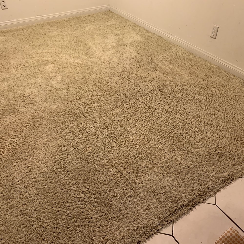 Action Carpet Cleaning - DR after pix - Carpet Cleaning Near Me - Torrance, California Action Carpet Cleaning - DR after pix - Carpet Cleaning Near Me - Torrance, California