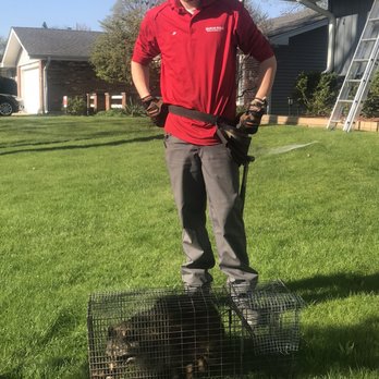 Quick Kill Exterminating - JP with the catch! - Pest Control Near Me - Wheeling, Illinois