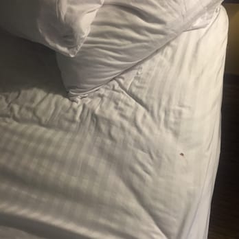 Holiday Inn Express St. Ignace-Lake Front - SOMEONE ELSES BLOOD - Hotels Near Me - Saint Ignace, Michigan