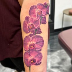 Studio Seven Tattoos