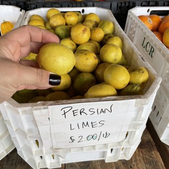 Main Squeeze Market - a person picking lemons from crates - Farmers Market Near Me - Lemon Cove, California