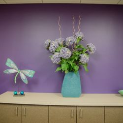 Vista Dental Care