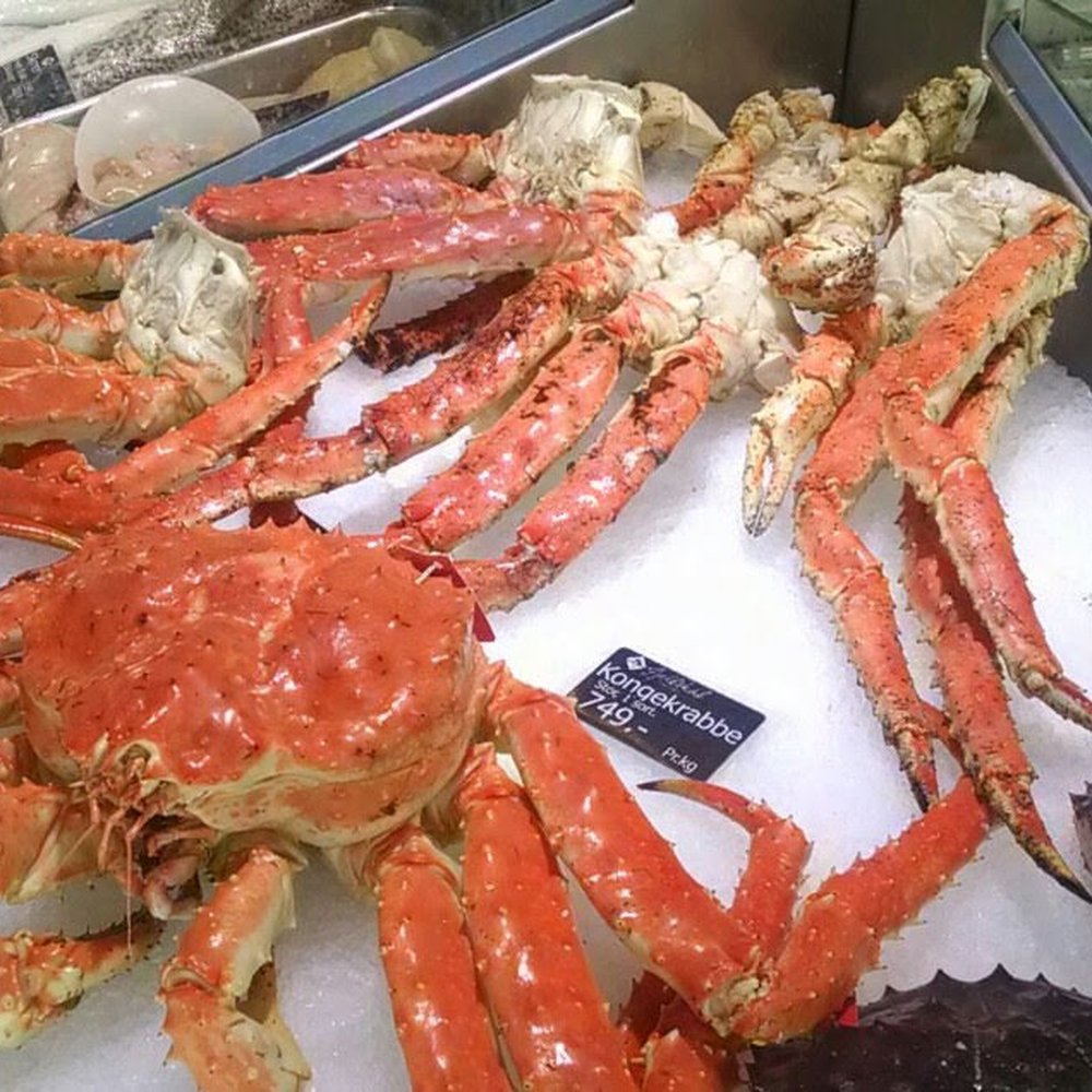 Fjellskaal Seafood Restaurant - Seafood Near Me - Bergen, 12 Fjellskaal Seafood Restaurant - Seafood Near Me - Bergen, 12