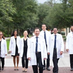 Peter S Chen, DMD, MMSc - Advanced Endodontics
