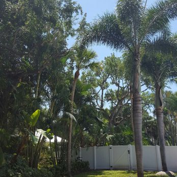 BE Limitless Contractors - Tree Services Near Me