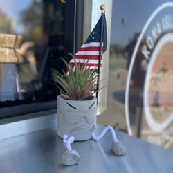 Kona Island Coffee - Counter