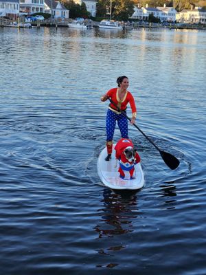 Adventure Mystic Kayak/SUP/Bike Rental & Retail Shop by null