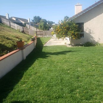 Commercial & Residential Yard Maintenance - Additional picture of my back yard and hillside - Lawn Services Near Me Commercial & Residential Yard Maintenance - Additional picture of my back yard and hillside - Lawn Services Near Me