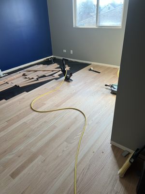 Apartment hardwood floor installation - This Hardwood floor installation we removed the carpet and installed Hardwood floor with plywood under and black paper we also added golden oak color as requested by customer then we add polyurethane Apartment hardwood floor installation - This Hardwood floor installation we removed the carpet and installed Hardwood floor with plywood under and black paper we also added golden oak color as requested by customer then we add polyurethane