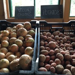 Little Ridge Farm