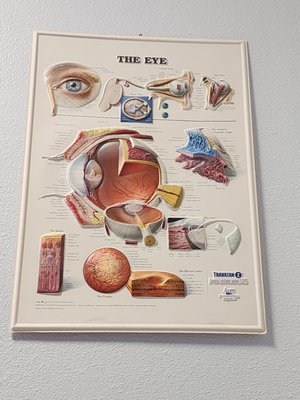 Eye Associates of South Texas Medical Center