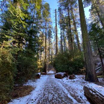 Calaveras Big Trees State Park - Parks Near Me - Arnold, California Calaveras Big Trees State Park - Parks Near Me - Arnold, California