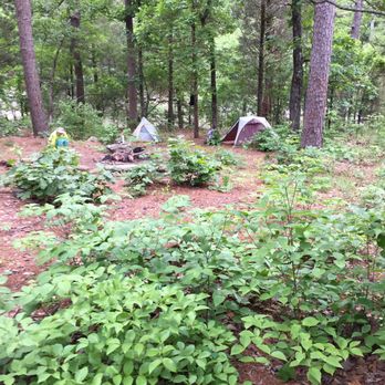 Robbers Cave State Park - Coon Creek campsite. Nice big fire ring, so you could build a fire if you were so inclined. Watch out for poison ivy and ticks. LOTS OF BOTH - Parks Near Me - Wilburton, Oklahoma Robbers Cave State Park - Coon Creek campsite. Nice big fire ring, so you could build a fire if you were so inclined. Watch out for poison ivy and ticks. LOTS OF BOTH - Parks Near Me - Wilburton, Oklahoma