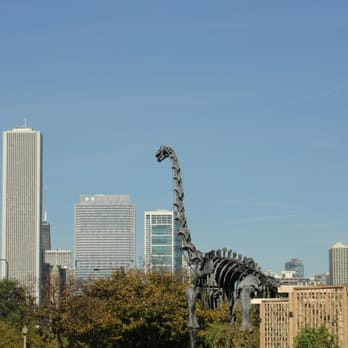 Field Museum - dinosaur in the city - Museums Near Me - Chicago, Illinois Field Museum - dinosaur in the city - Museums Near Me - Chicago, Illinois