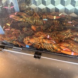 Live lobster Live lobster