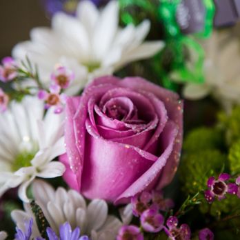 Studio Flora - Florists Near Me - Windham, Maine Studio Flora - Florists Near Me - Windham, Maine