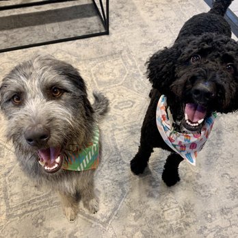PetSmart - Pet Stores Near Me - Skokie, Illinois