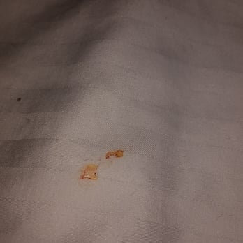 WorldMark Bend - Seventh Mountain Resort - Blood on bed. Unacceptable. - Hotels Near Me - Bend, Oregon