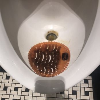 Panera Bread - Disgusting urinal made whole bathroom smell like piss - Salad Near Me - Goodyear, Arizona Panera Bread - Disgusting urinal made whole bathroom smell like piss - Salad Near Me - Goodyear, Arizona