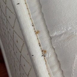 The mattress
