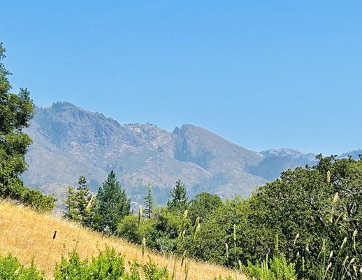 Trione-Annadel State Park by null
