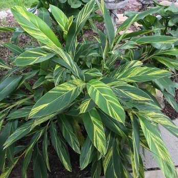 Landmark Landscape Corp - Landscaping Near Me Landmark Landscape Corp - Landscaping Near Me