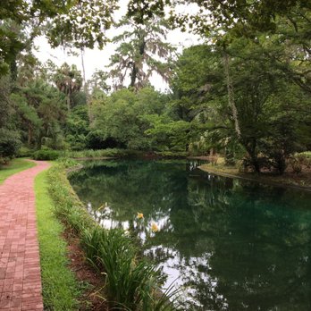 Alfred B  Maclay Gardens State Park - Parks Near Me - Tallahassee, Florida