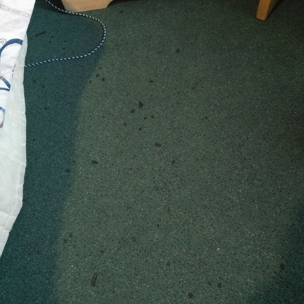 Knights Inn Bracebridge - Burn marks on rug of a non-smoking room - Hotels Near Me - Bracebridge, Ontario Knights Inn Bracebridge - Burn marks on rug of a non-smoking room - Hotels Near Me - Bracebridge, Ontario