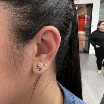 Lulu Ave - Conch piercing! - Piercing Near Me - Long Beach, California Lulu Ave - Conch piercing! - Piercing Near Me - Long Beach, California