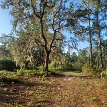 Geneva Wilderness Area - Parks Near Me - Geneva, Florida