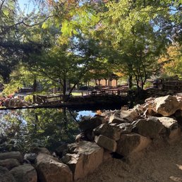 Pond in November