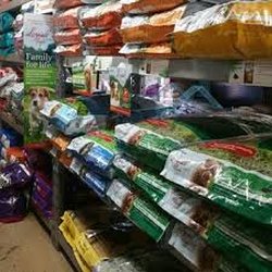 Gordon's Feed & Seed