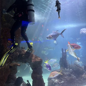Aquarium Restaurant - Seafood Near Me - Nashville, Tennessee