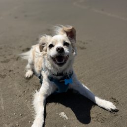 Murphy, ABC patient