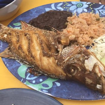 Chamicos - Seafood Near Me - Tulum, ROO Chamicos - Seafood Near Me - Tulum, ROO