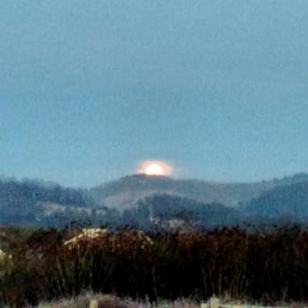Half Moon Bay State Beach - Moon rising, from HMB campground. - Beaches Near Me - Half Moon Bay, California Half Moon Bay State Beach - Moon rising, from HMB campground. - Beaches Near Me - Half Moon Bay, California