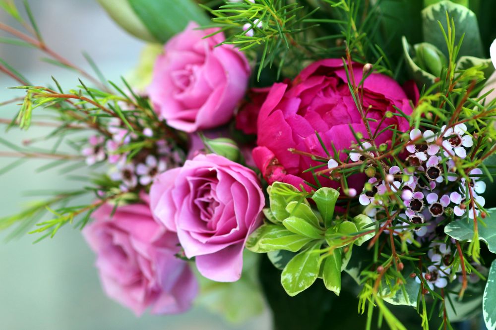 CONNER PARK FLORIST Updated October 2024 14 Photos & 23 Reviews