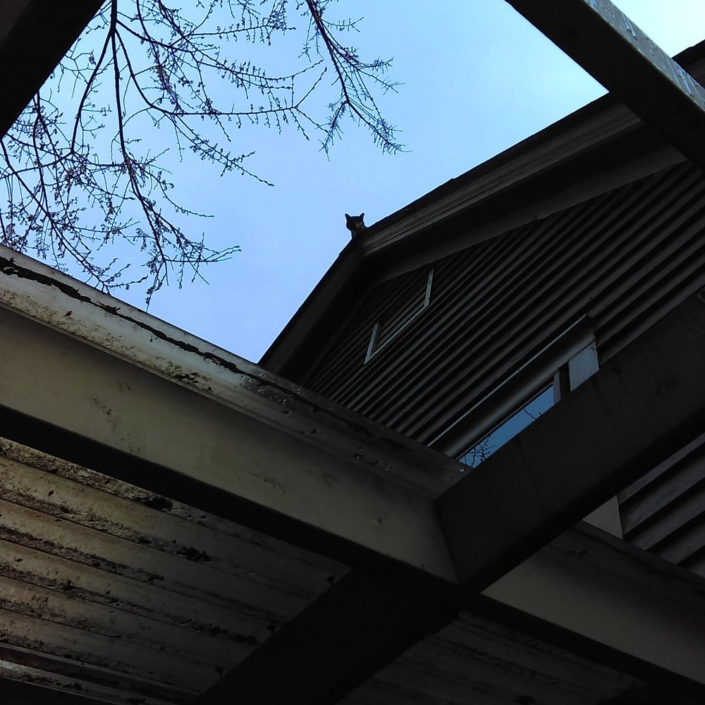 Diamond Quality Roofing and Construction - Roofing Near Me - Cleveland, Ohio Diamond Quality Roofing and Construction - Roofing Near Me - Cleveland, Ohio