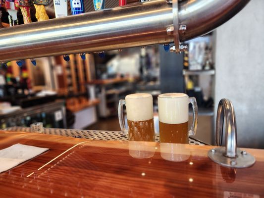 The Lobster Trap by null