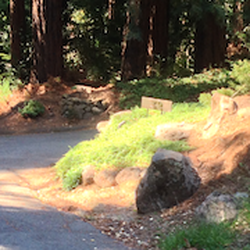 Barsky-Newsom Japanese Gardens - Entrance near Cascade Canyon, 200 feet from the bottom of Mt. Tam