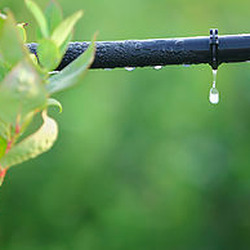 Yard Irrigation Repair