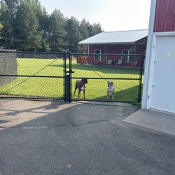 Happy Fences