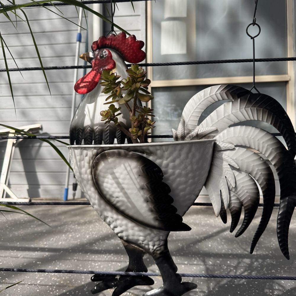 Roosters On The River - Art - Breakfast & Brunch Near Me - Sacramento, California