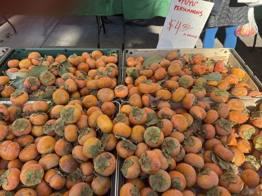 Farmers Market - Wednesday/Saturday Downtown Santa Monica by null